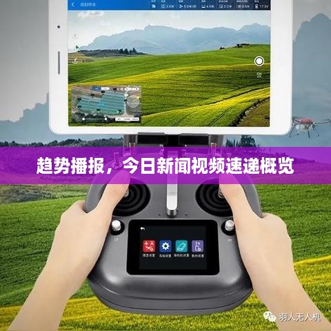 趋势播报，今日新闻视频速递概览