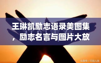 联系我们 第152页