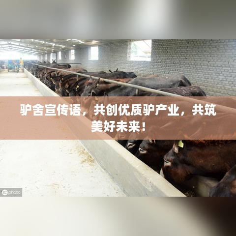 heweigui 第2页