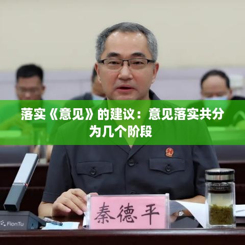 落实《意见》的建议：意见落实共分为几个阶段 