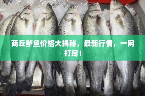 商丘鲈鱼价格大揭秘，最新行情，一网打尽！