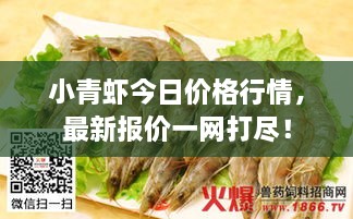 小青虾今日价格行情，最新报价一网打尽！