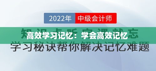 高效学习记忆：学会高效记忆 