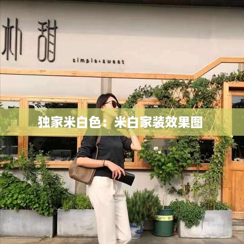 独家米白色：米白家装效果图 