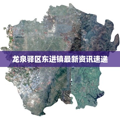 龙泉驿区东进镇最新资讯速递