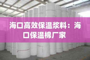 海口高效保温浆料：海口保温棉厂家 