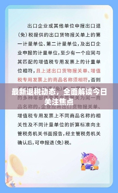最新退税动态，全面解读今日关注焦点