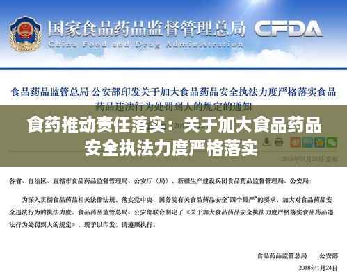 食药推动责任落实：关于加大食品药品安全执法力度严格落实 