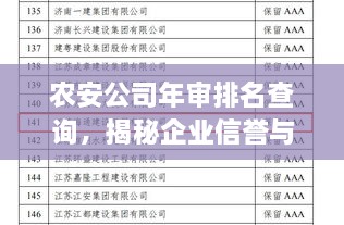 农安公司年审排名查询，揭秘企业信誉与实力的不二途径