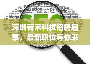 深圳荷禾科技招聘启事，最新职位等你来挑战！