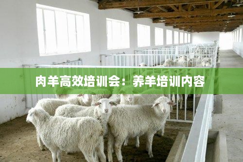 肉羊高效培训会：养羊培训内容 