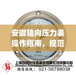 安徽轴向压力表操作指南，规范使用，确保安全准确