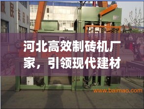 河北高效制砖机厂家，引领现代建材制造革新力量