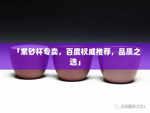 「紫砂杯专卖，百度权威推荐，品质之选」