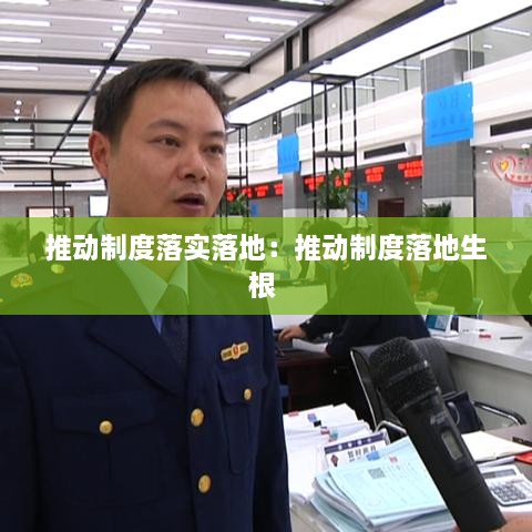 推动制度落实落地：推动制度落地生根 