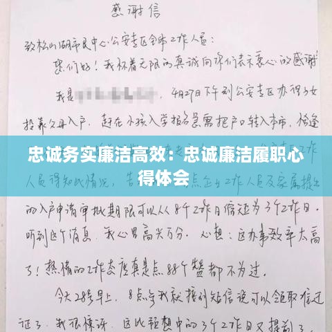 忠诚务实廉洁高效：忠诚廉洁履职心得体会 