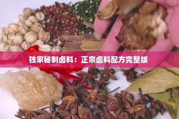 独家秘制卤料：正宗卤料配方完整版 