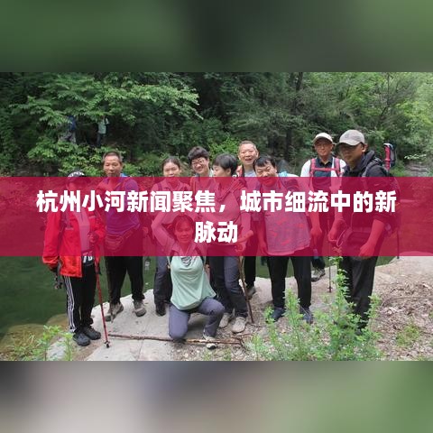 杭州小河新闻聚焦，城市细流中的新脉动