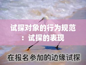 试探对象的行为规范：试探的表现 