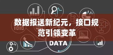 数据报送新纪元，接口规范引领变革