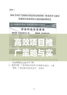 高效项目推广策略与实践秘籍