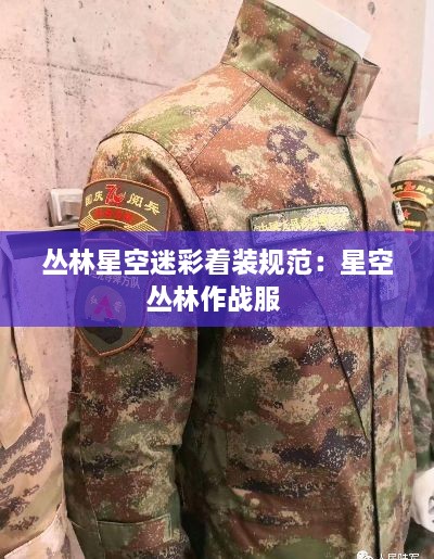 丛林星空迷彩着装规范：星空丛林作战服 