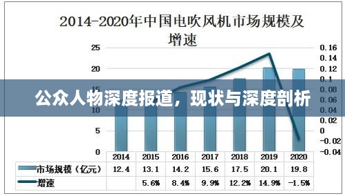 公众人物深度报道，现状与深度剖析