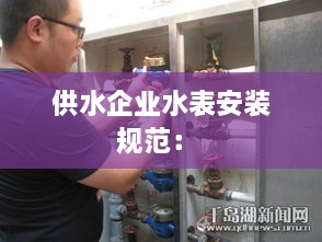 供水企业水表安装规范： 
