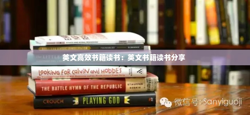 英文高效书籍读书：英文书籍读书分享 