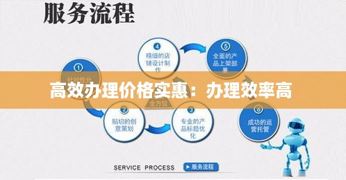 高效办理价格实惠：办理效率高 