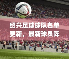 绍兴足球球队名单更新，最新球员阵容一览