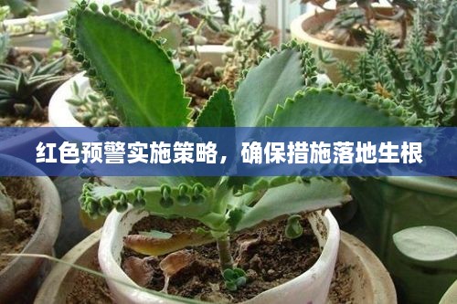 衣不完采 第2页