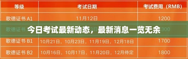 今日考试最新动态，最新消息一览无余