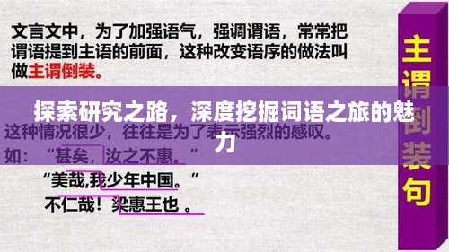 探索研究之路，深度挖掘词语之旅的魅力