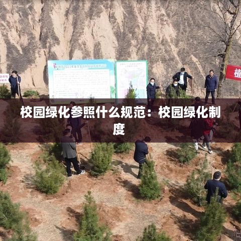 校园绿化参照什么规范：校园绿化制度 