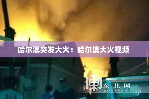 哈尔滨突发大火：哈尔滨大火视频 