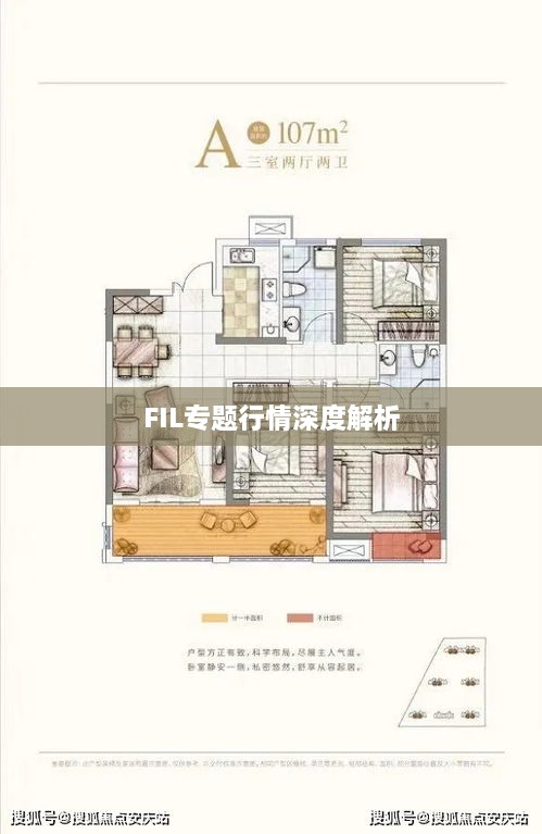 FIL专题行情深度解析