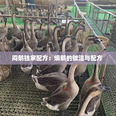 闷鹅独家配方：焖鹅的做法与配方 