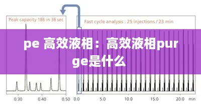 pe 高效液相：高效液相purge是什么 