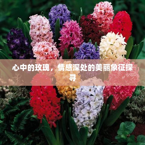 亘古新闻 第3页