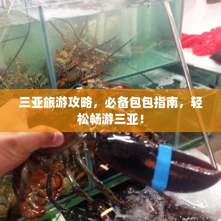 三亚旅游攻略，必备包包指南，轻松畅游三亚！