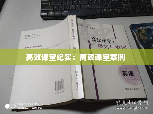 niaolibieguan 第2页