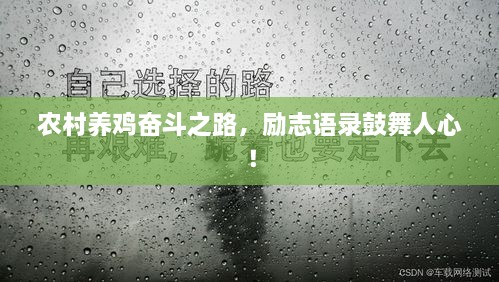 农村养鸡奋斗之路，励志语录鼓舞人心！