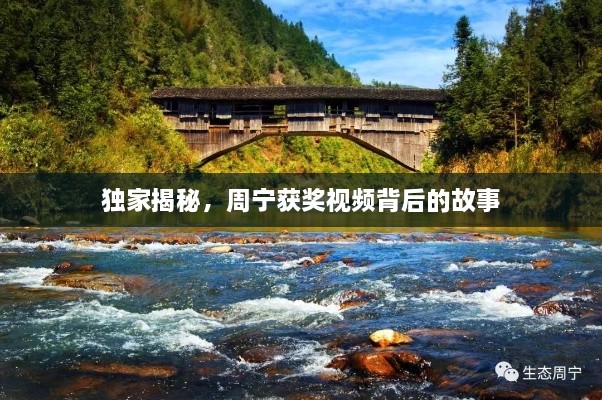 独家揭秘，周宁获奖视频背后的故事