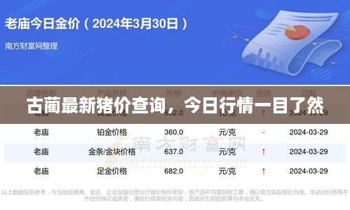 古蔺最新猪价查询，今日行情一目了然
