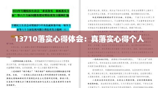 13710落实心得体会：真落实心得个人 