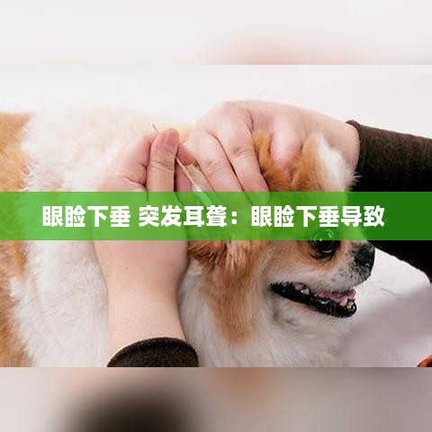 眼睑下垂 突发耳聋：眼睑下垂导致 