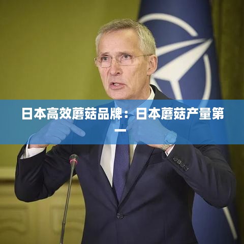 日本高效蘑菇品牌：日本蘑菇产量第一 