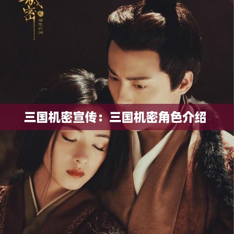 三国机密宣传：三国机密角色介绍 