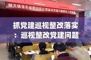 抓党建巡视整改落实：巡视整改党建问题 